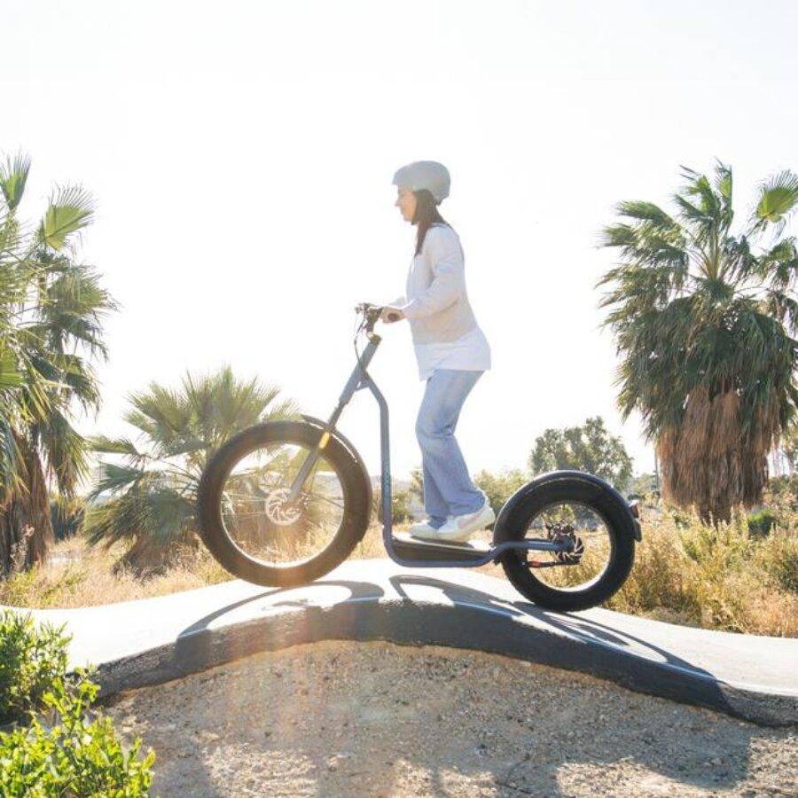 Escooter con motor de 1300 W (1000 W nominal) y autonomía de 60 km - THE G.O.A.T. GROUP